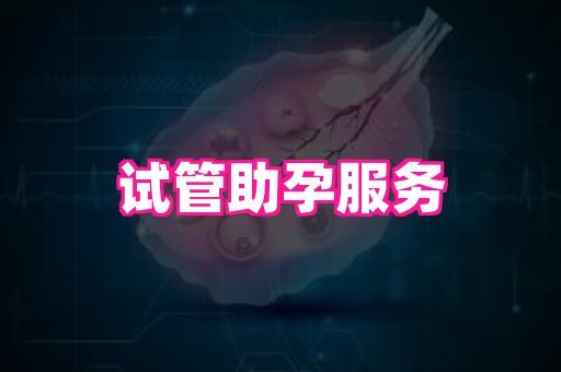 gfg孕网 2