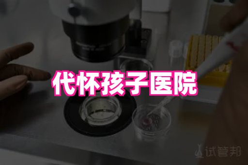 gfg孕网 4